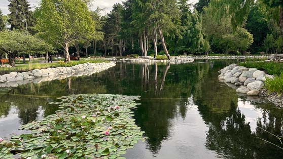 minoru park lake